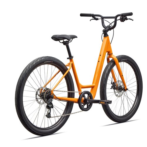 Specialized Specialized Roll 2.0 Low Entry | Hybrid Bike