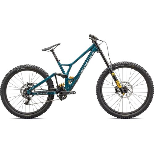 Specialized Specialized Demo Race | Mountain Bike