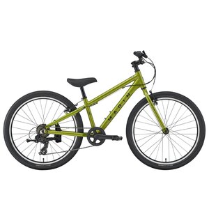Marin Donky Jr 24